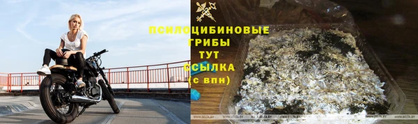 каннабис Алзамай