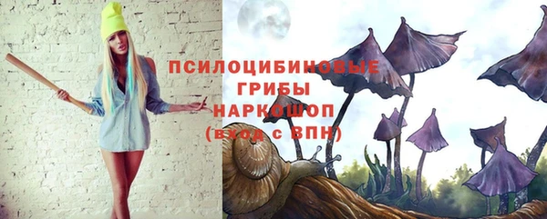 apvp Алексеевка
