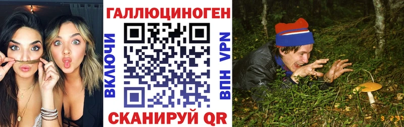 продажа наркотиков  Обнинск  Псилоцибиновые грибы Psilocybine cubensis 